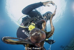 "We are friends, Shake hand please" by Raj Prasad 